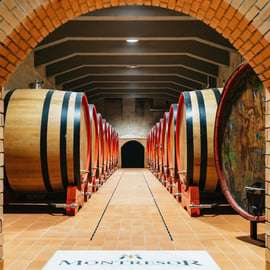 Verona: Visita alla cantina Montresor con degustazione di vini e spuntini