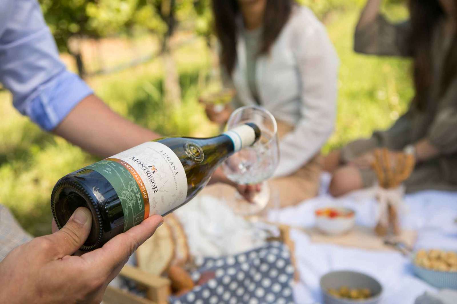 Degusta con nosotros Bardolino, Chiaretto y Lugana, cerca de Verona
