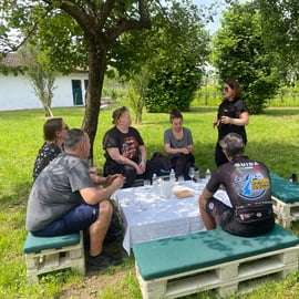 Sirmione: Tour dei vigneti con i vini Lugana e degustazioni locali