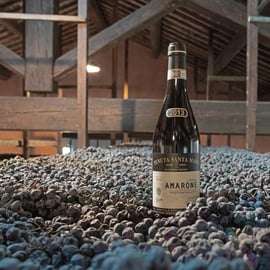 Valpolicella: Amarone Chateau Guided Tour und Weinprobe