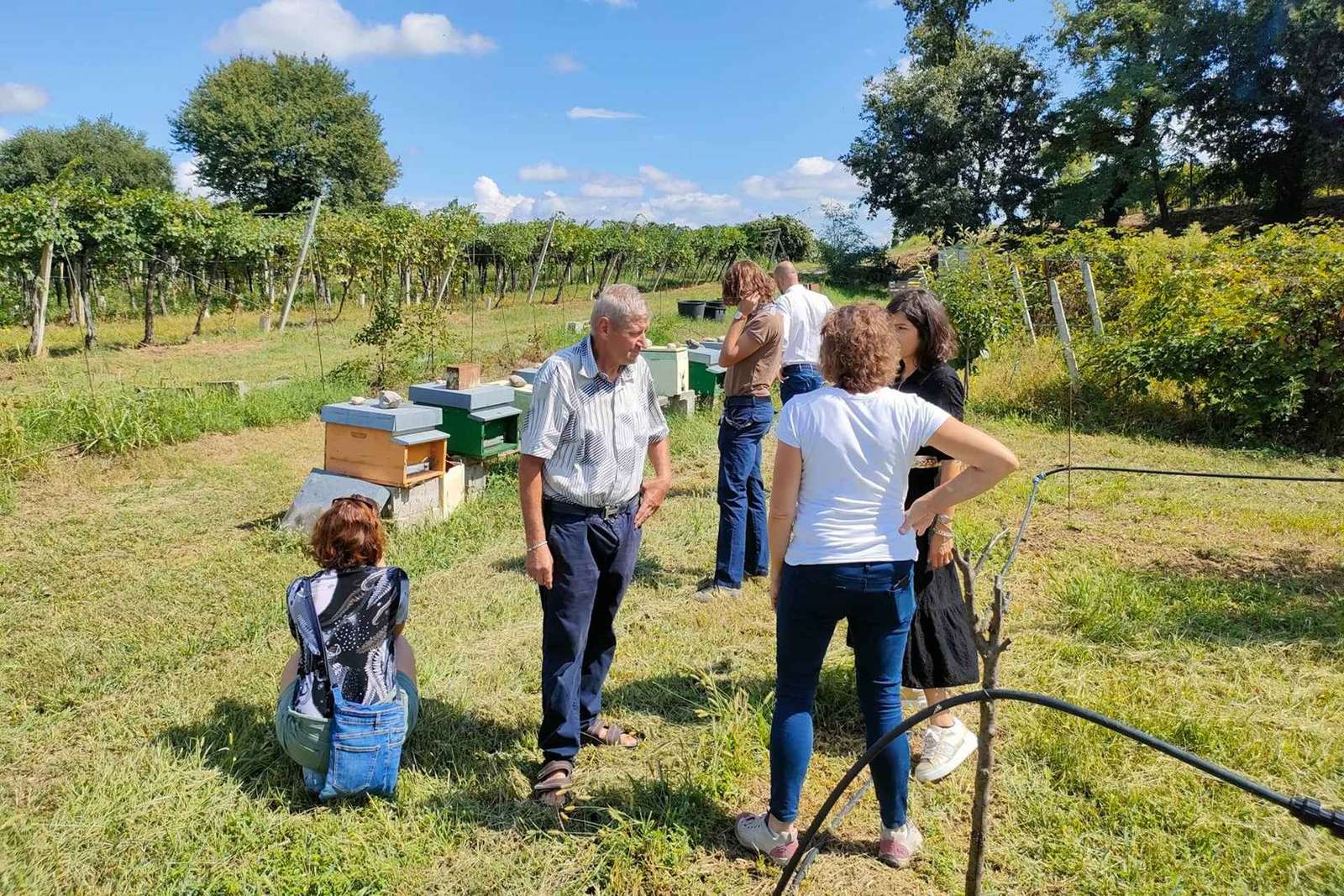 Lazise: Tour e degustazione della fattoria dell'apicoltura
