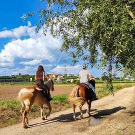 Paseo a caballo en el lago de Garda y pícnic en una granja
