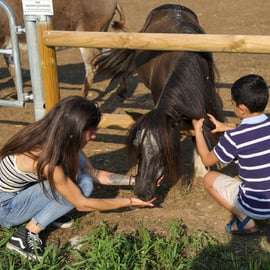 Lazise: Visita a una granja biodinámica y cata de vinos naturales