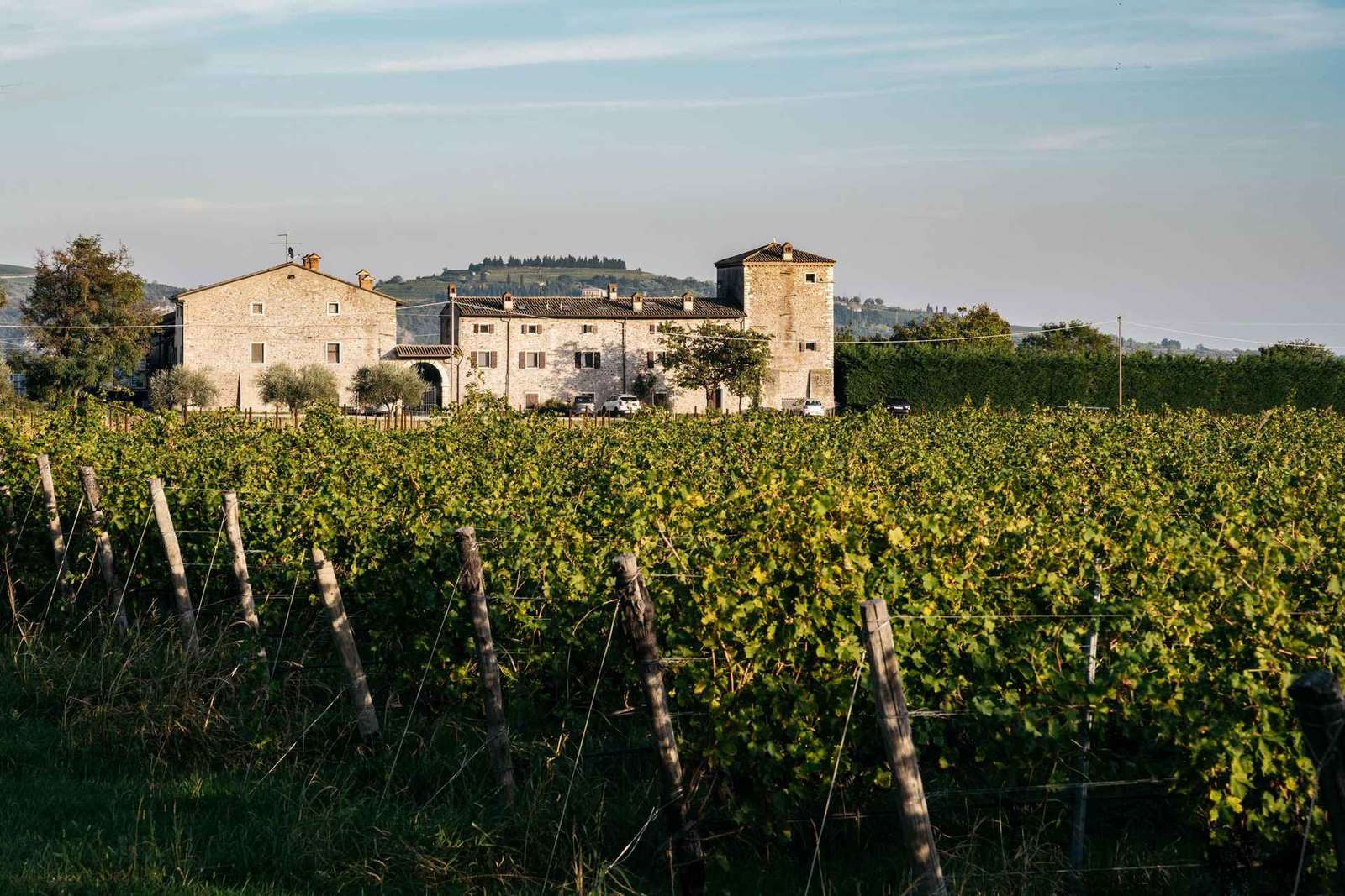GARDASEE: WEINBERG- UND KELLERTOUREN
