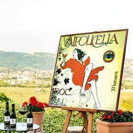 Scenic aperitif in Valpolicella with 3 white and rosé wines