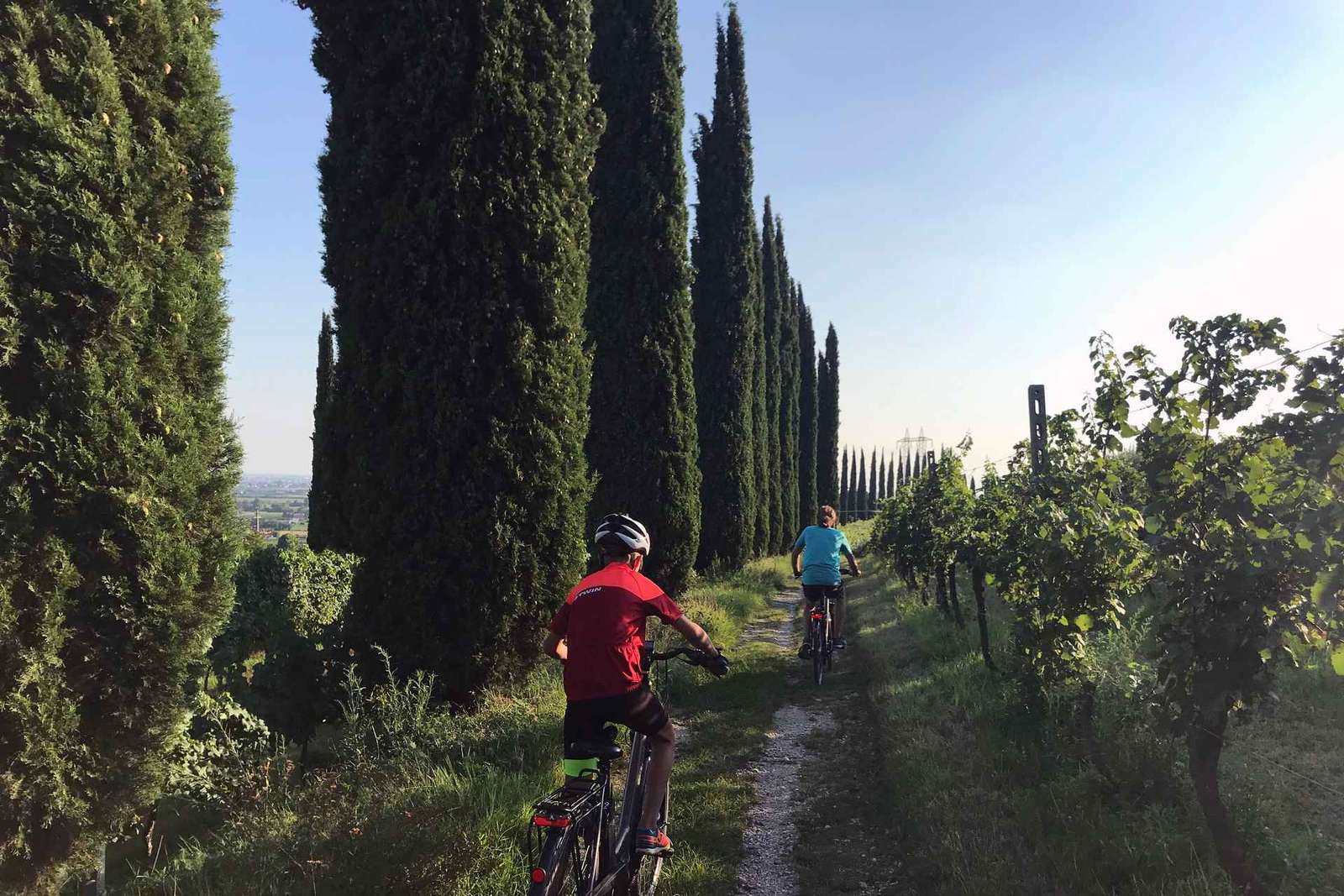 Tour en vélo électrique à Custoza : cave familiale et vin