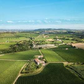Tour en vélo électrique à Custoza : cave familiale et vin