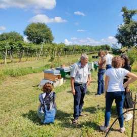 Lazise: Tour e degustazione della fattoria dell'apicoltura
