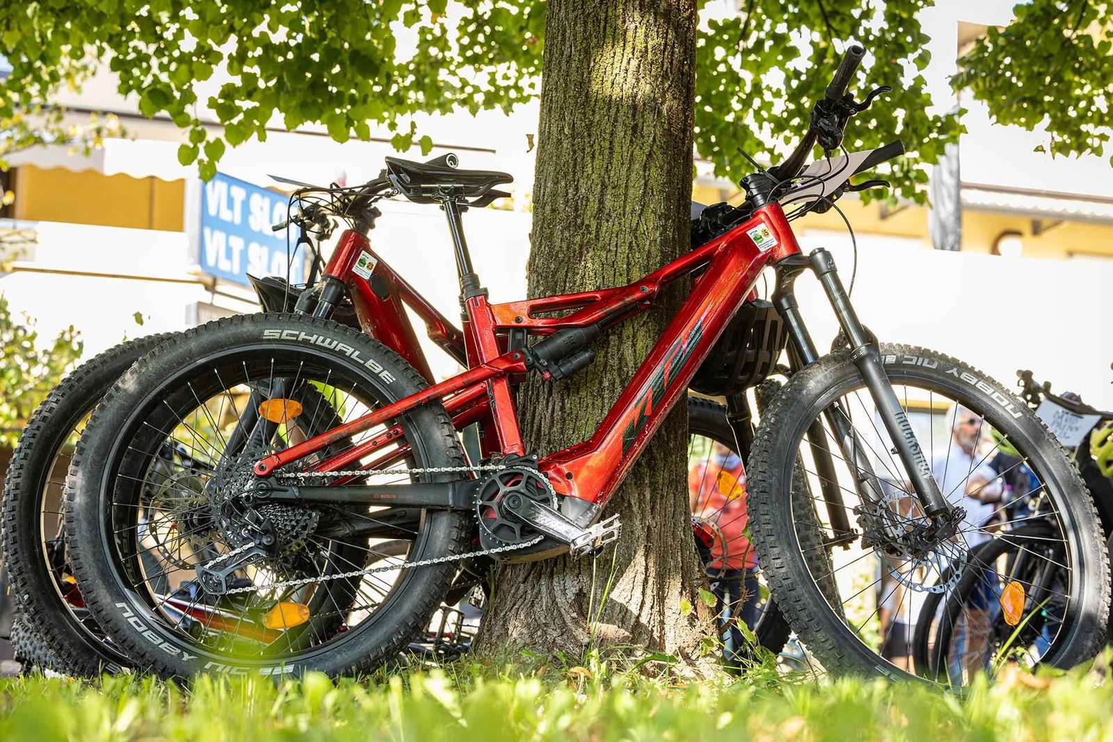 Visite en vélo électrique en Valpolicella, avec dégustation