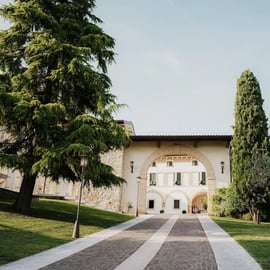 Valpolicella: Winery and Vineyard Tour with Lunch and Wine Tasting