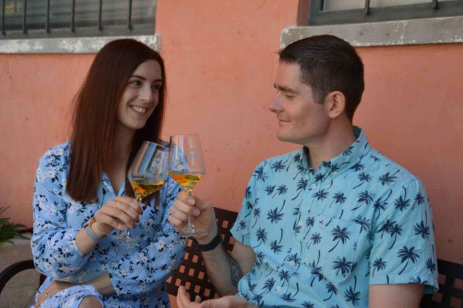 Excursão de meio dia de vinhos: Soave e Amarone em minivan