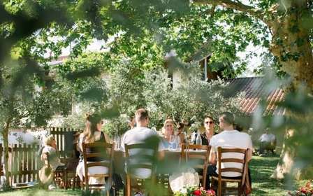 Gardasjön: Vingårdstur och provsmakning på kullarna
