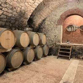 Marano di Valpolicella: DOP-Olivenölverkostung erleben