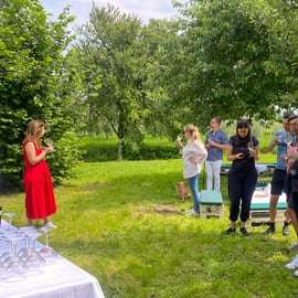 Sirmione: Tour dei vigneti con i vini Lugana e degustazioni locali