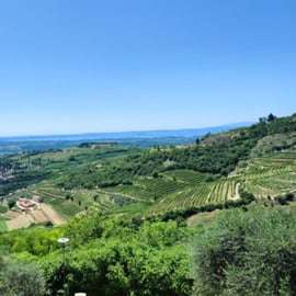 De Verona: Excursão de meio dia a Valpolicella para prova de vinhos