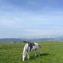 Balade à cheval en Lessinia avec guide près de Vérone