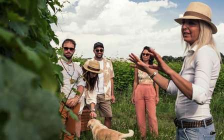 Lago de Garda: Passeio pelos vinhedos e degustação de vinhos