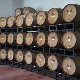 Valpolicella: Winery and Vineyard Tour with Lunch and Wine Tasting