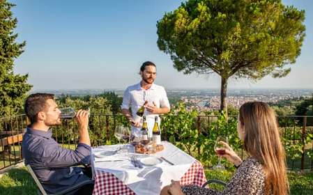 Verona: Wine Tasting with Snacks and Panoramic City Views