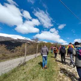 Monte Baldo: Tour und Verkostung von Bio-Bergweinen