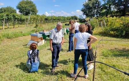 Lazise: Rundtur på biodlingsgård och provsmakning