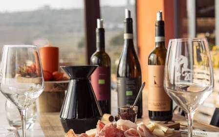 Vinprovning i Valpolicella med ekologiska viner