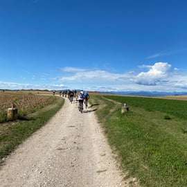 Desenzano: e-Bike Tour mit Weinverkostung