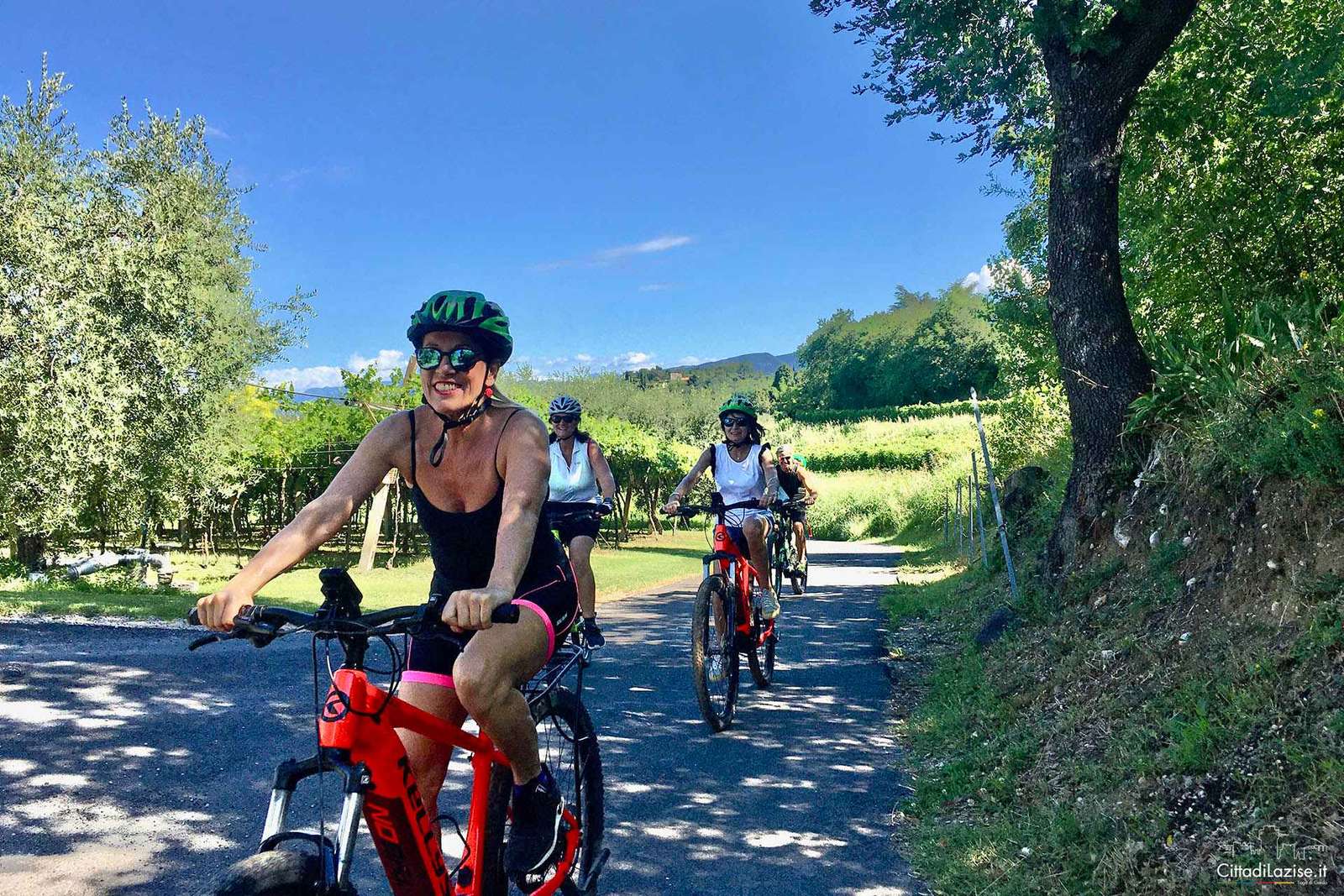 Lazise : Excursion à vélo et dégustation de vins