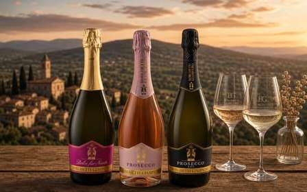 Panoramisk aperitif med provsmakning av 3 mousserande viner i Valpolicella
