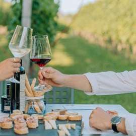 Lac de Garde : Dégustations de vins et de mets dans les vignobles