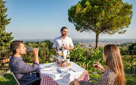 Ekologisk vinprovning med utsikt över Verona
