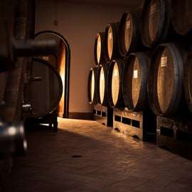 Dégustation de vin à Fumane dans une cour médiévale
