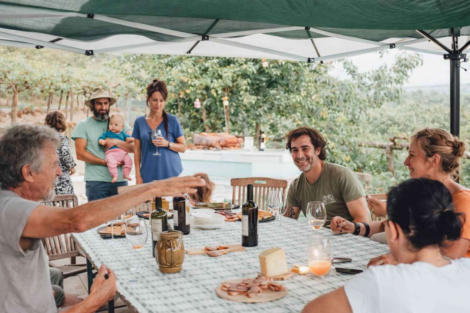 Alrededores de Verona: experiencia ecológica en una bodega histórica de 1760