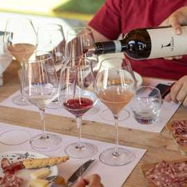 LUNCH IN VERONA: LICHTE LUNCH TUSSEN DE WIJNGAARDEN EN DE WIJNKELDER