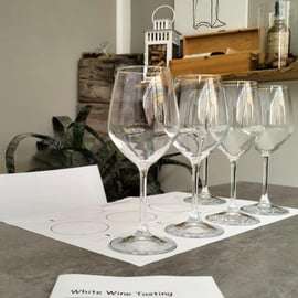 Dégustation de vins à Peschiera del Garda avec sommelier