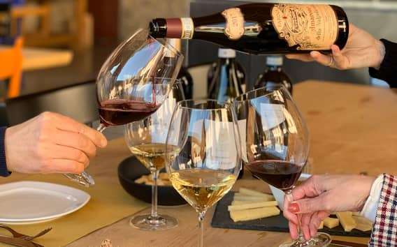 Valpolicella: 1.5-Hour Guided Winery Tour with Wine Tasting