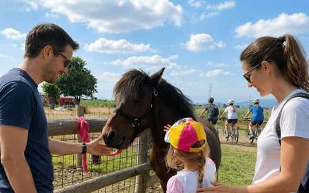 Visita a uma fazenda com animais no Lago de Garda e degustação