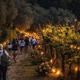 Alrededores de Verona: experiencia ecológica en una bodega histórica de 1760