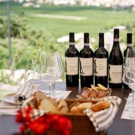 Valpolicella: degustazione di vini su una terrazza spettacolare