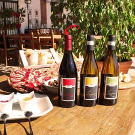 Sirmione: Tour dei vigneti con i vini Lugana e degustazioni locali