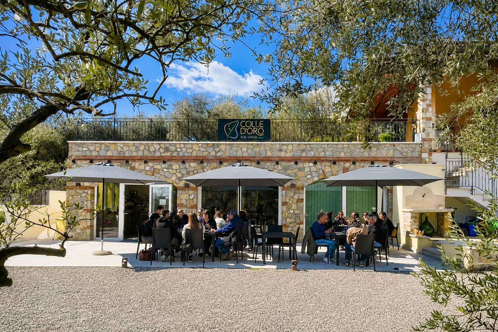 Aperitivo con olio d'oliva sul Lago di Garda tra gli ulivi