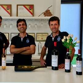 Bardolino: Degustacja wina w Cantina Valetti