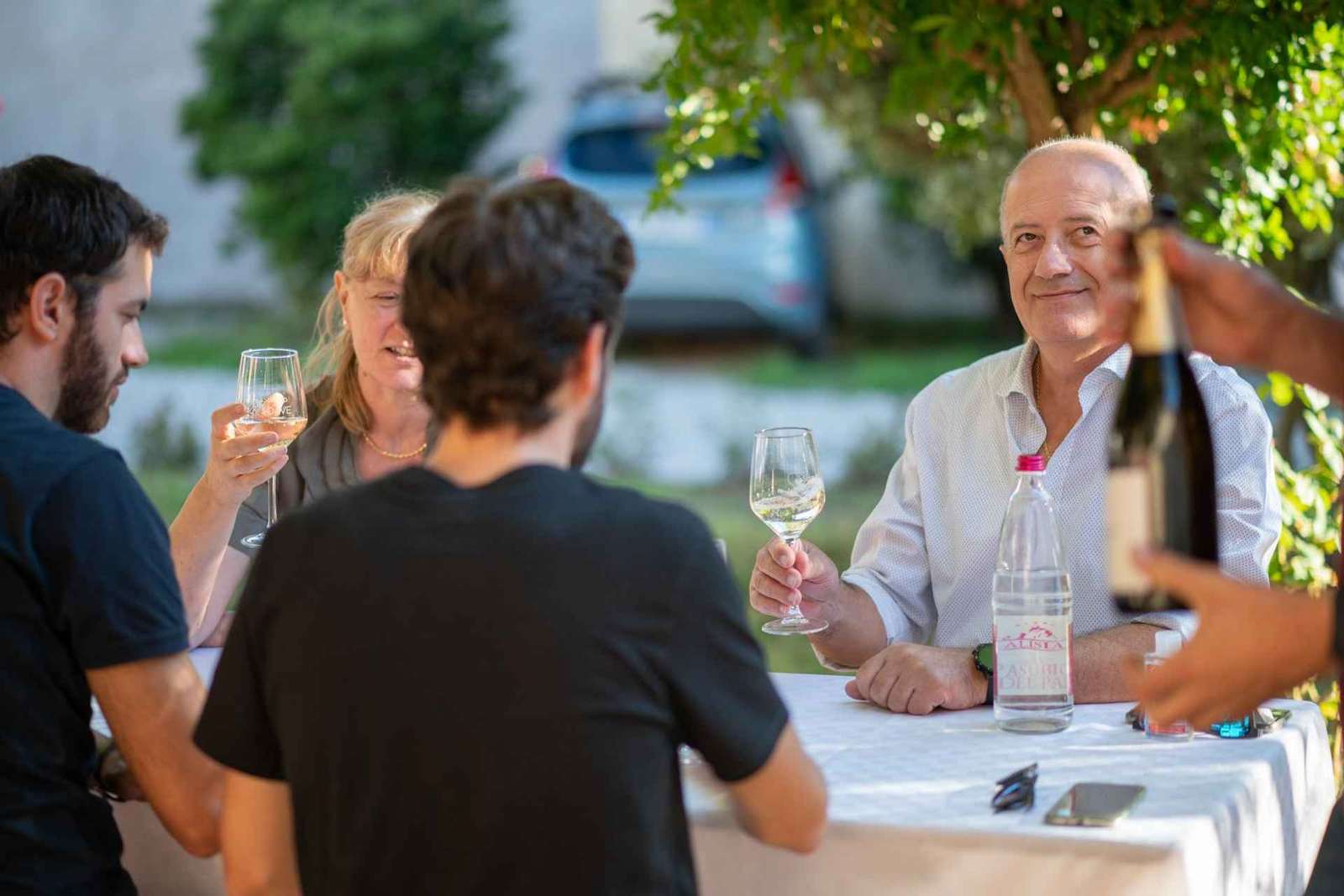 Soave: cata de vinos y visita a los viñedos en el centro histórico