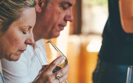 From Verona: Valpolicella and Amarone Wine Tasting Tour