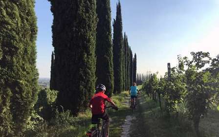 E-cykeltur i Custoza med vingård och provsmakning