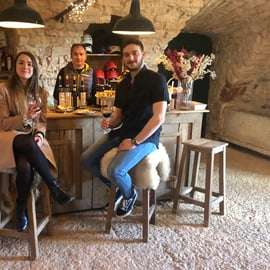Vérone : Visite d'un vignoble et d'une cave avec dégustation de vin