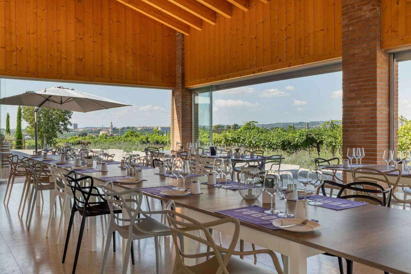 Visite d'un domaine viticole en Valpolicella avec dégustation