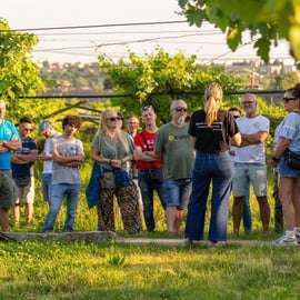 Visite d'un domaine viticole en Valpolicella avec dégustation