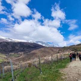 Monte Baldo: Tour und Verkostung von Bio-Bergweinen