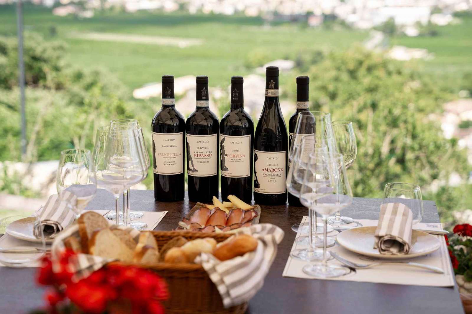 Valpolicella: degustazione di vini su una terrazza spettacolare